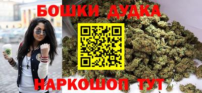 мдпв Кингисепп