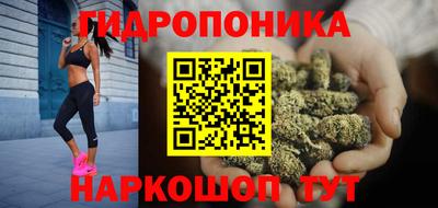 мдпв Кингисепп