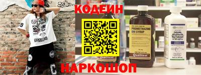 мдпв Кингисепп