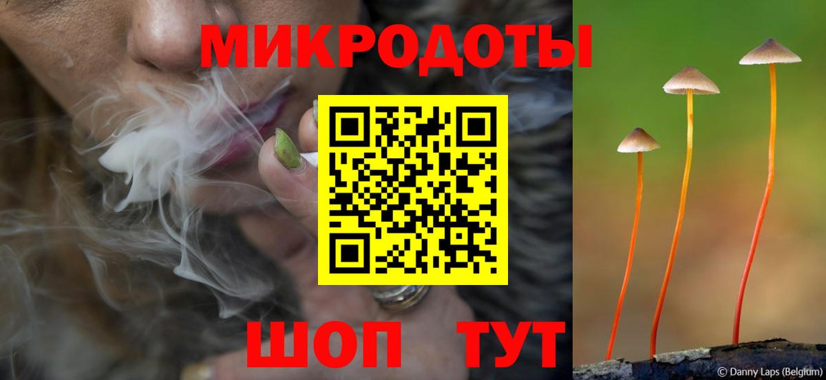 Дальнегорск  Псилоцибиновые грибы мицелий  Вход с VPN 